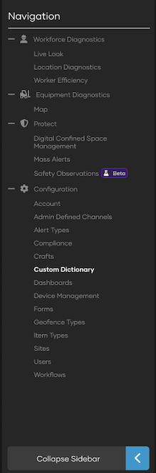 Custom Dictionary .png